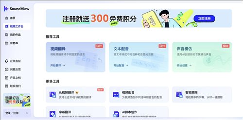 声动视界-视频翻译网页截图