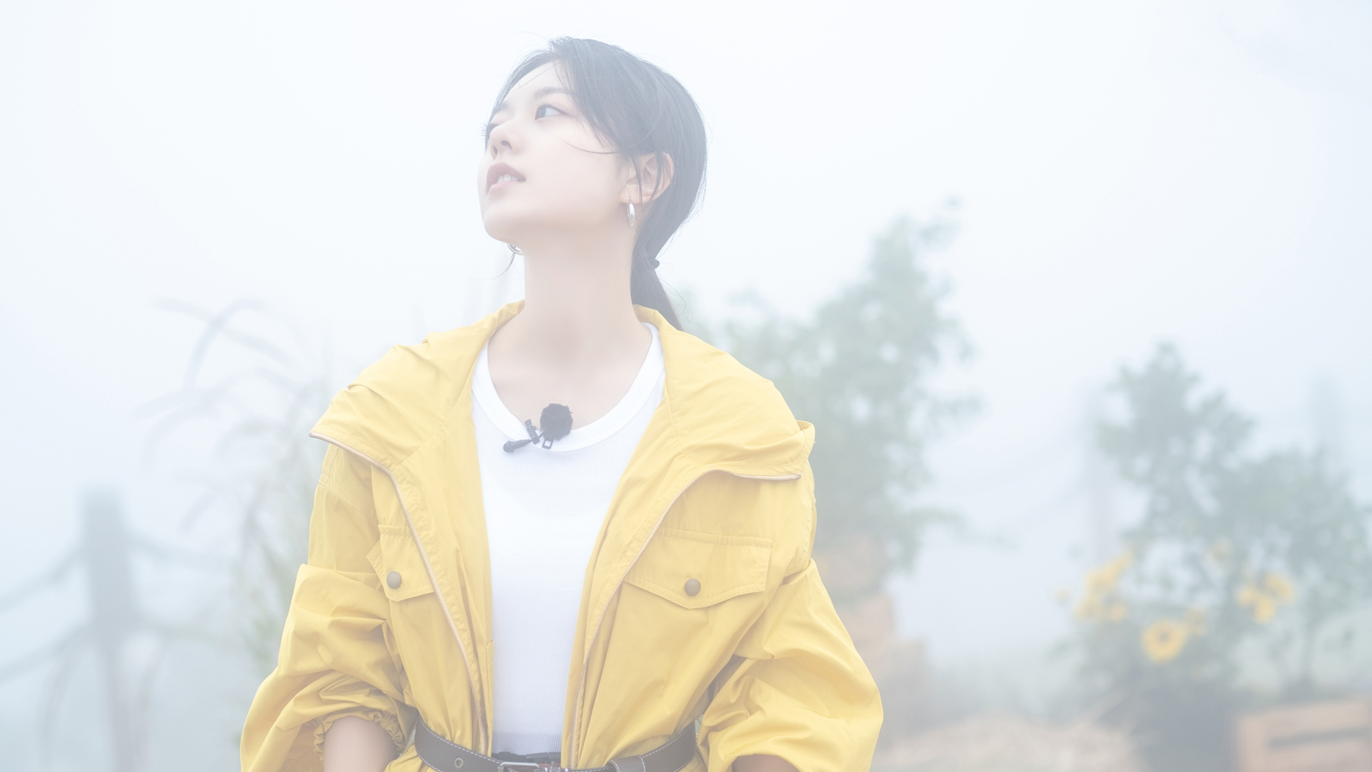 ['赵今麦 超清壁纸 高清手机壁纸 明星写真 影视作品']