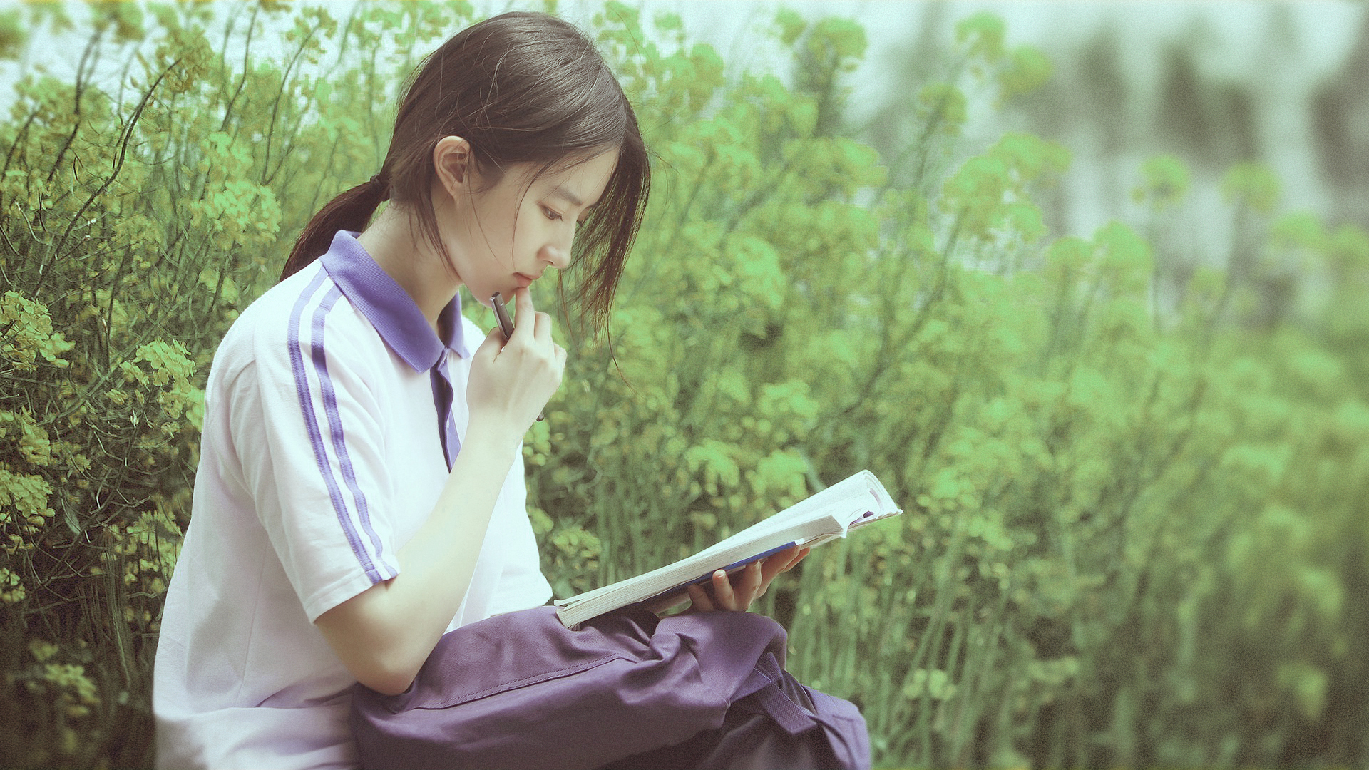 ['刘亦菲 油菜花 花海 侧颜 清纯写真 唯美壁纸']