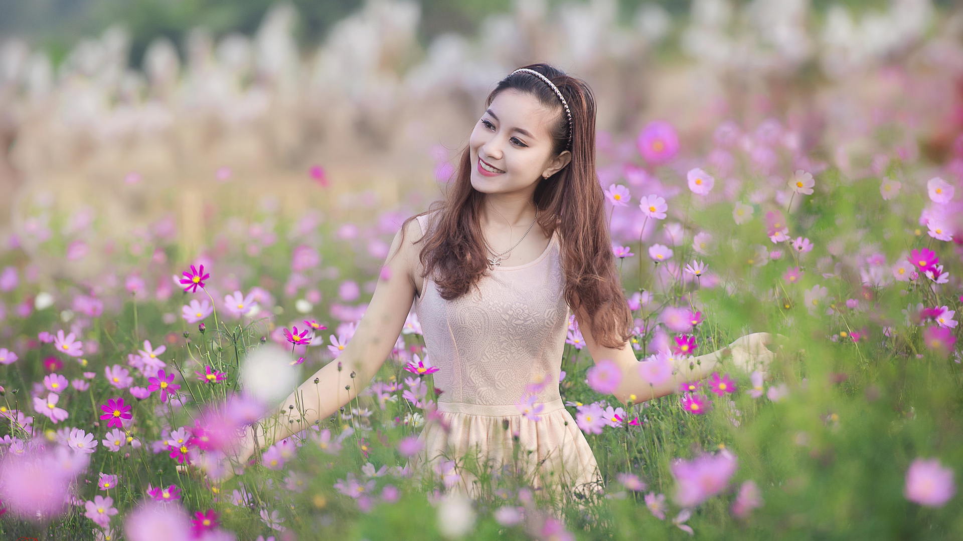 ['粉色花海 小清新 美丽女孩 桌面壁纸']