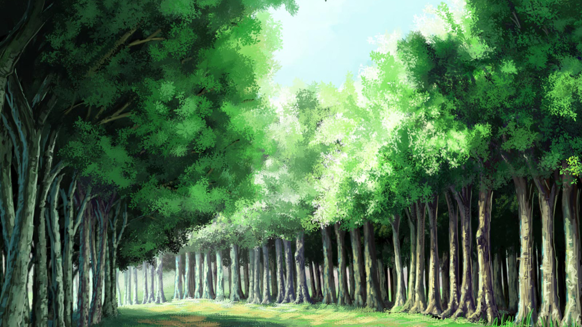 ['手绘绿色森林壁纸高清下载 卡通插画背景素材']