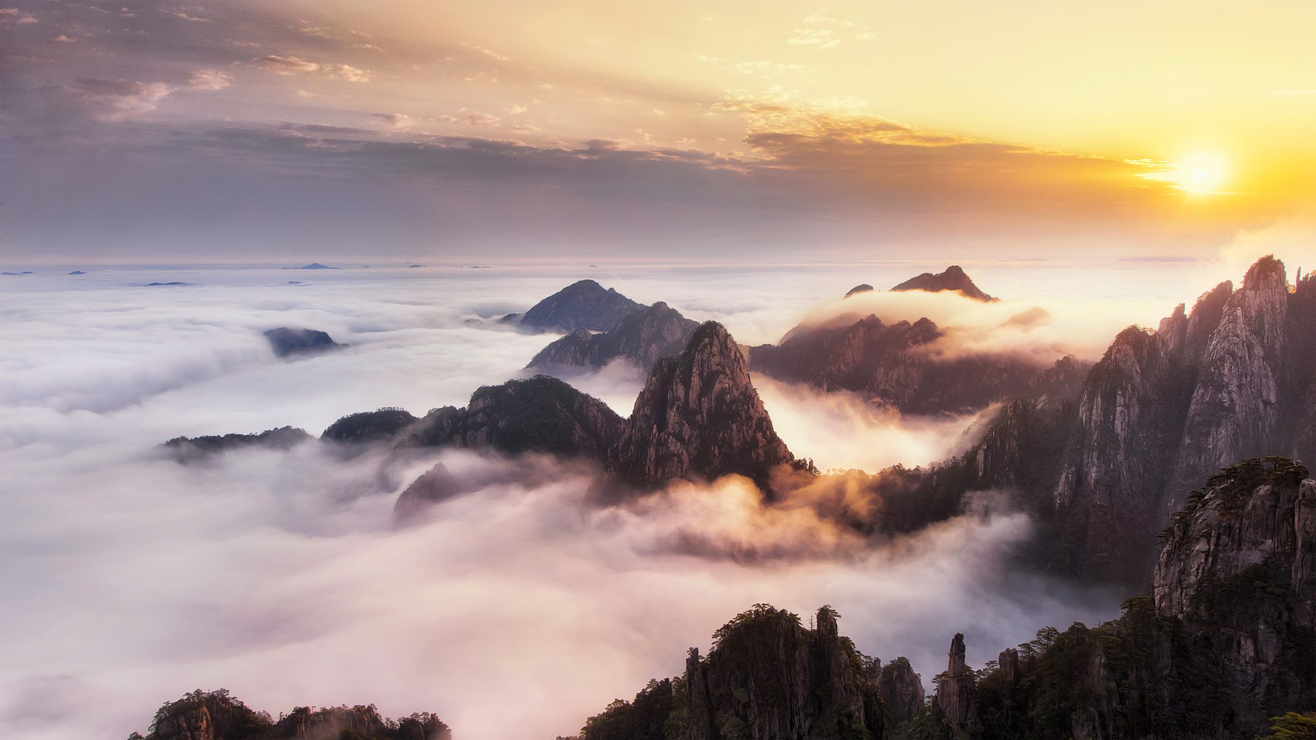 ['黄山云海 重阳节 日出 奇松怪石 中国风 自然风光 风景桌面壁纸']