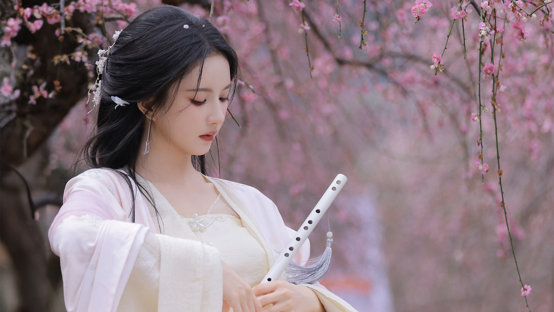 ['刘些宁 古风美女 粉色樱花 4K高清 唯美 壁纸']