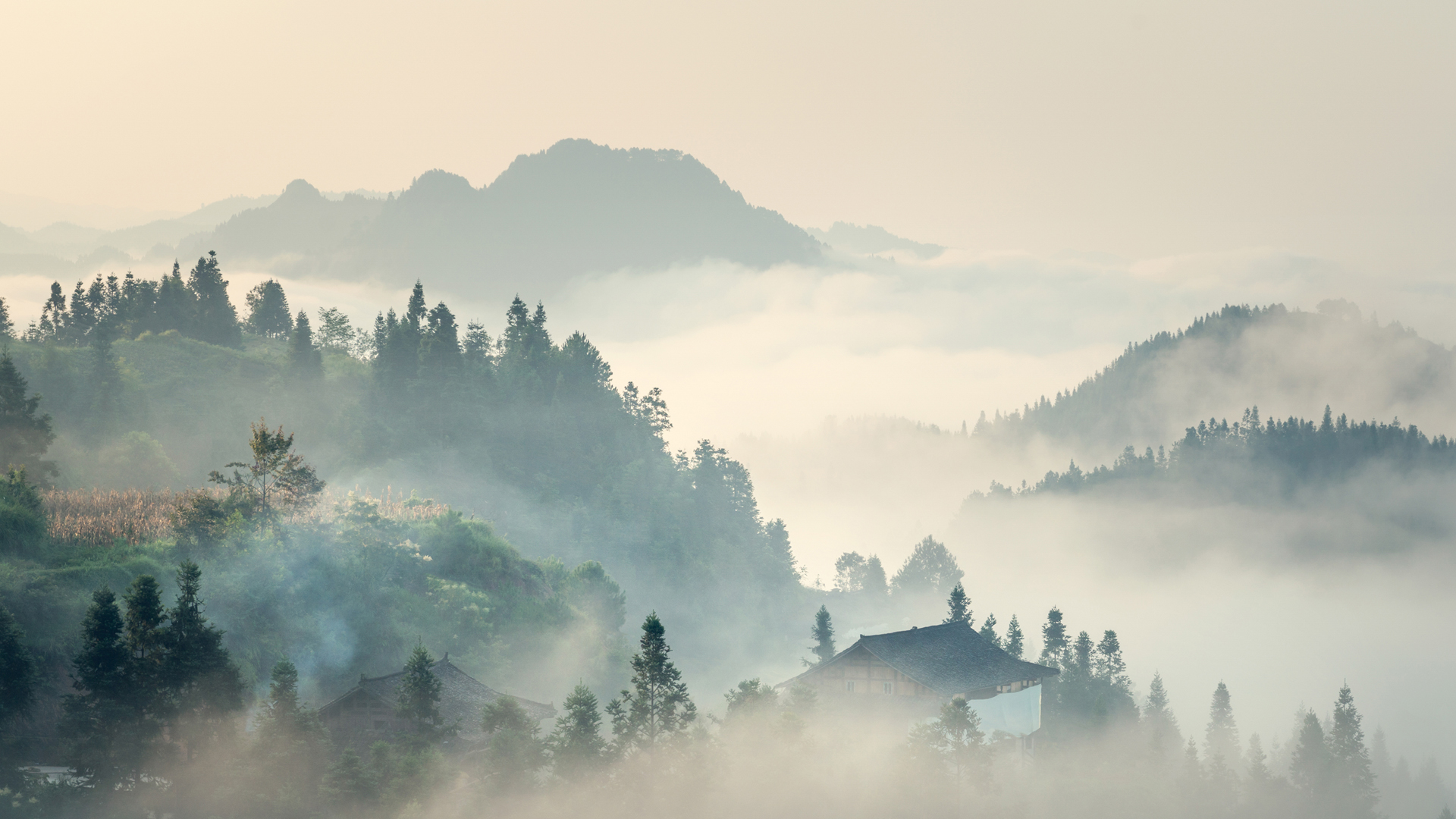 ['高清 山村 早晨 风景壁纸 树 房子 雾']