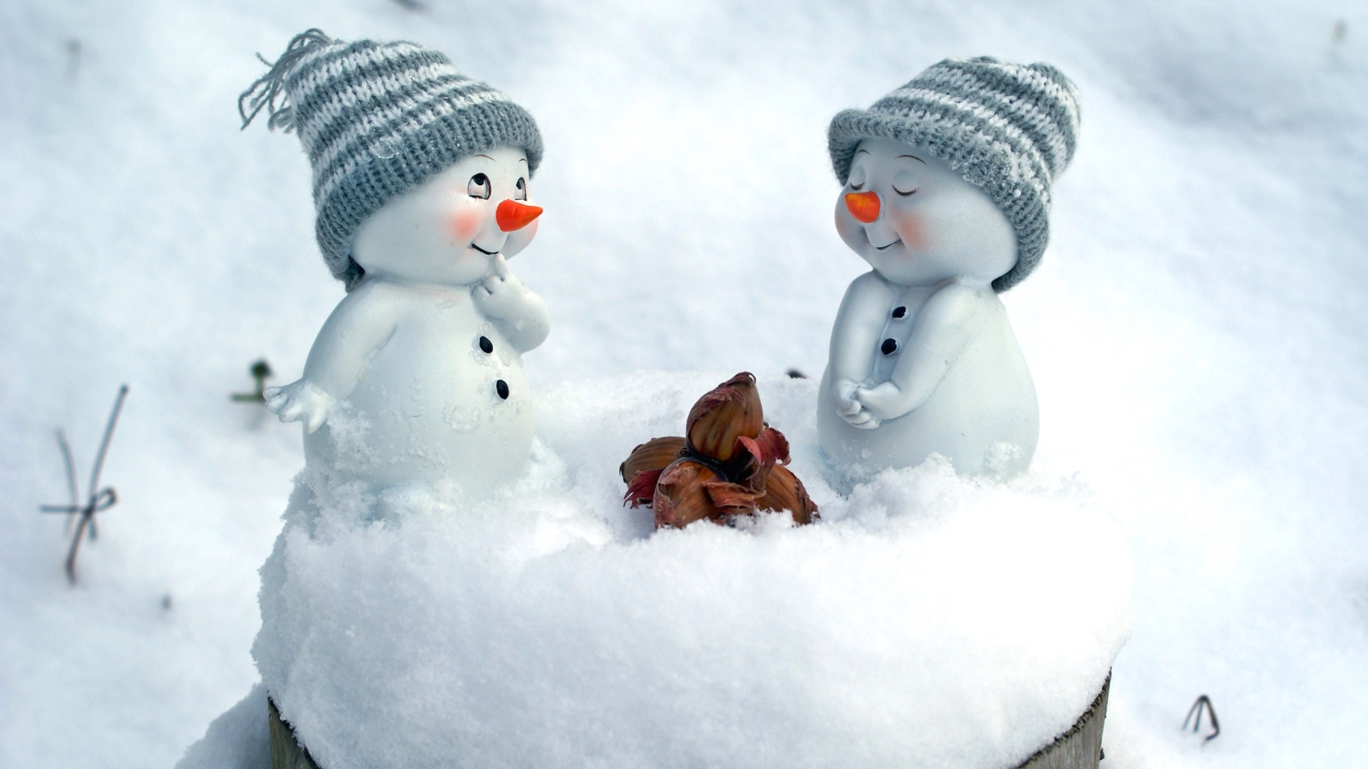 ['可爱雪人桌面壁纸 雪人俑雪人帽子坚果元素']