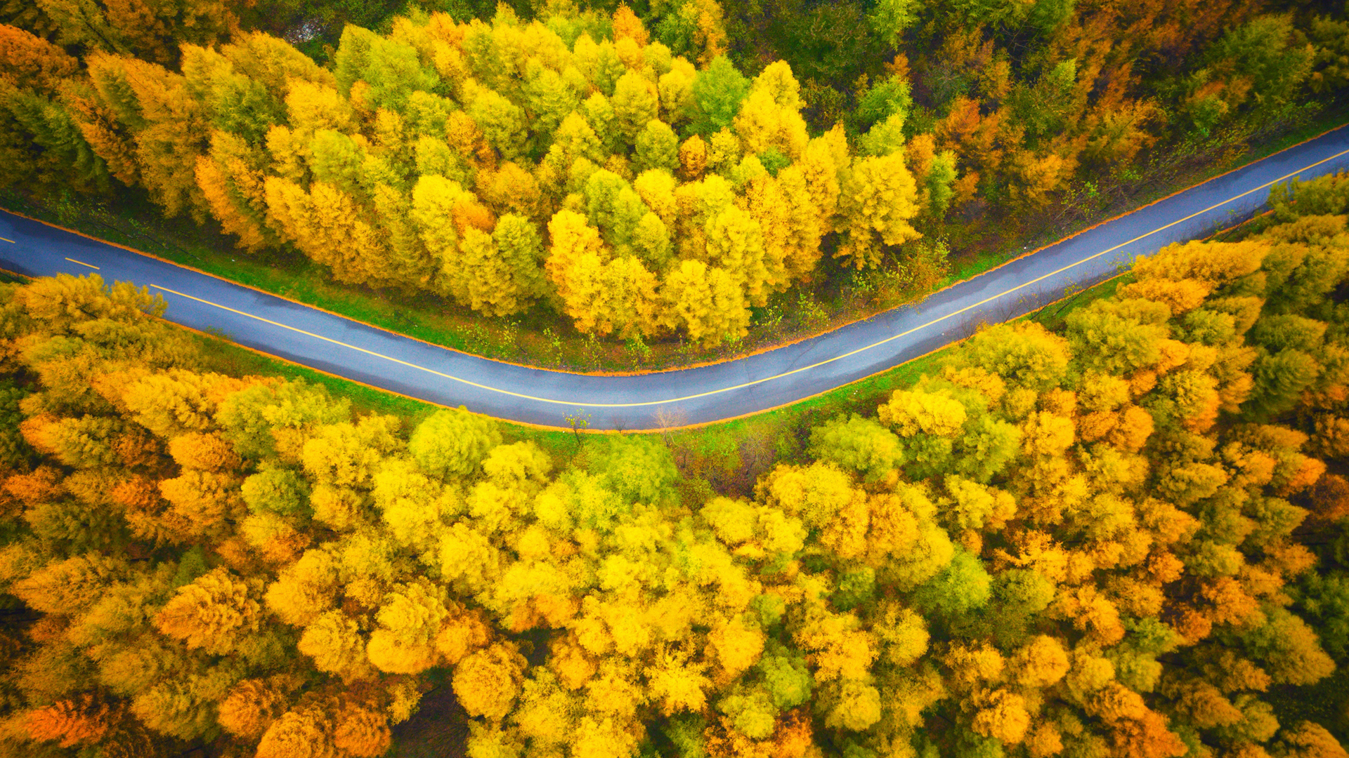 ['秋季 公路 风景 摄影 4K高清 俯视 电脑壁纸']