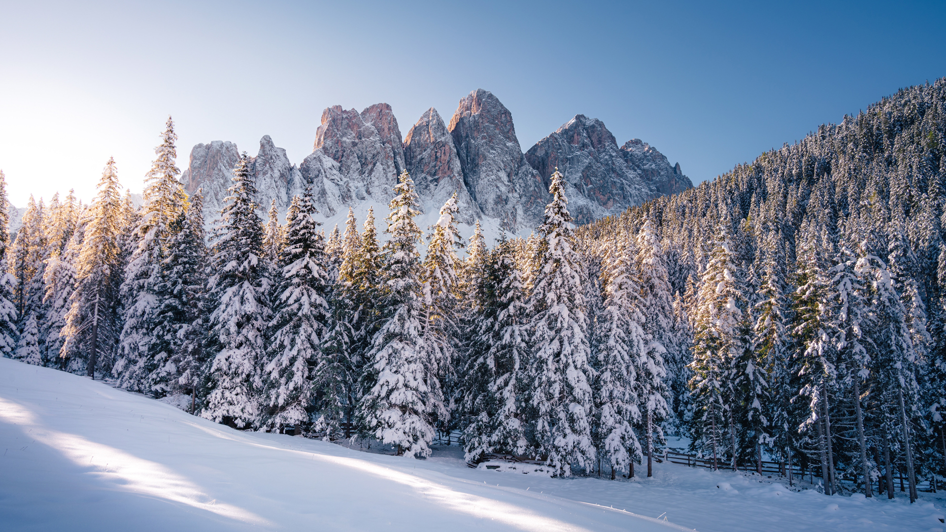 ['高清高山雪景 树林厚厚雪地自然风光桌面壁纸']
