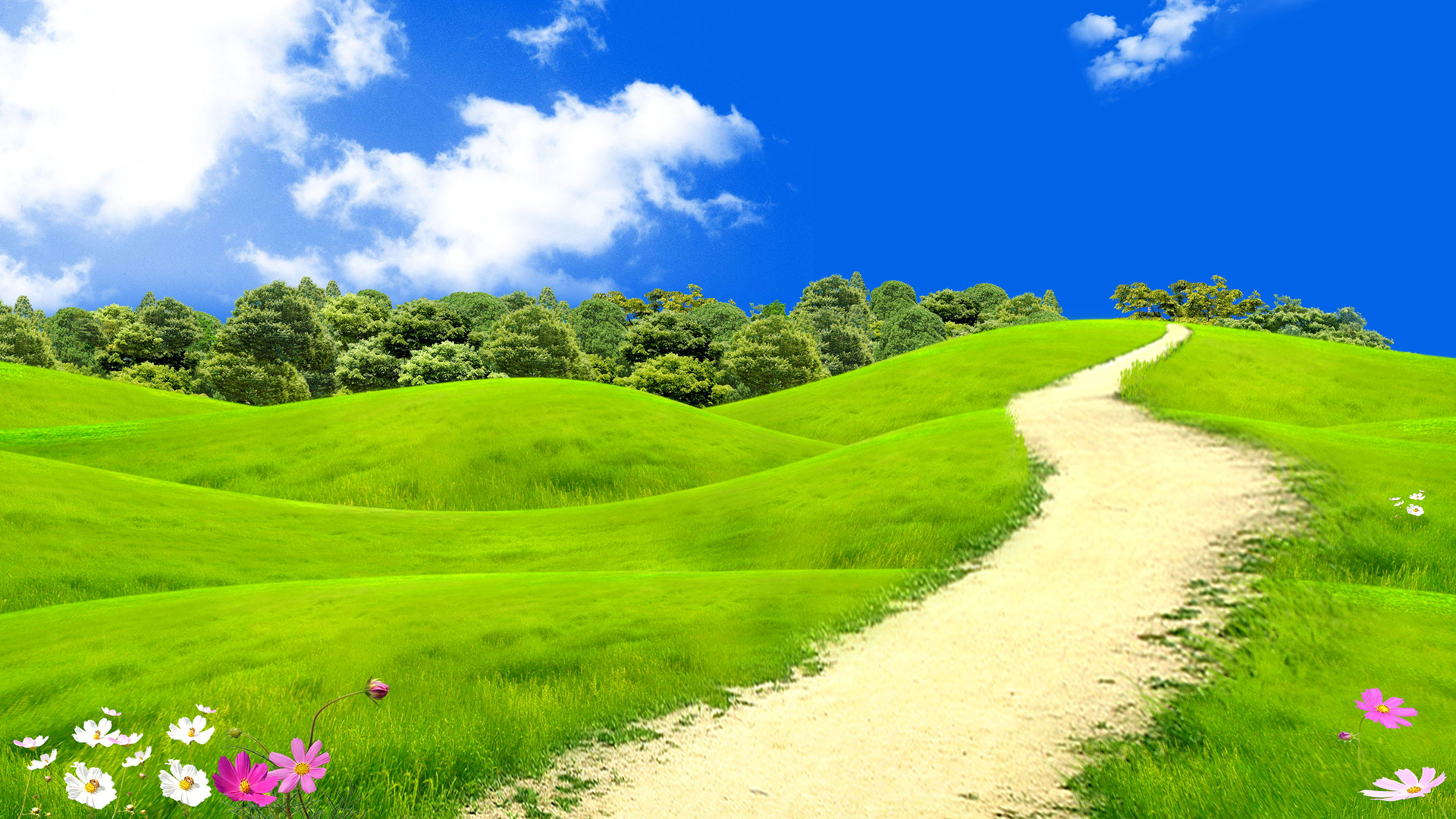 ['春天 绿草地 树林 鲜花 天空 风景 桌面壁纸']