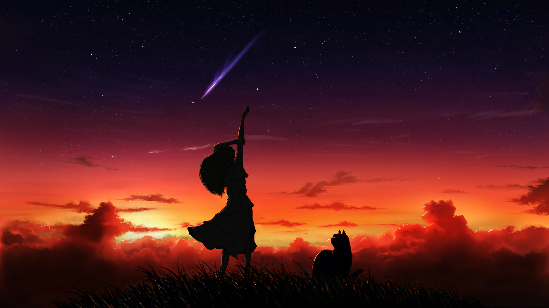 ['梦幻晚霞星空下女孩与猫共赏流星雨动漫壁纸']