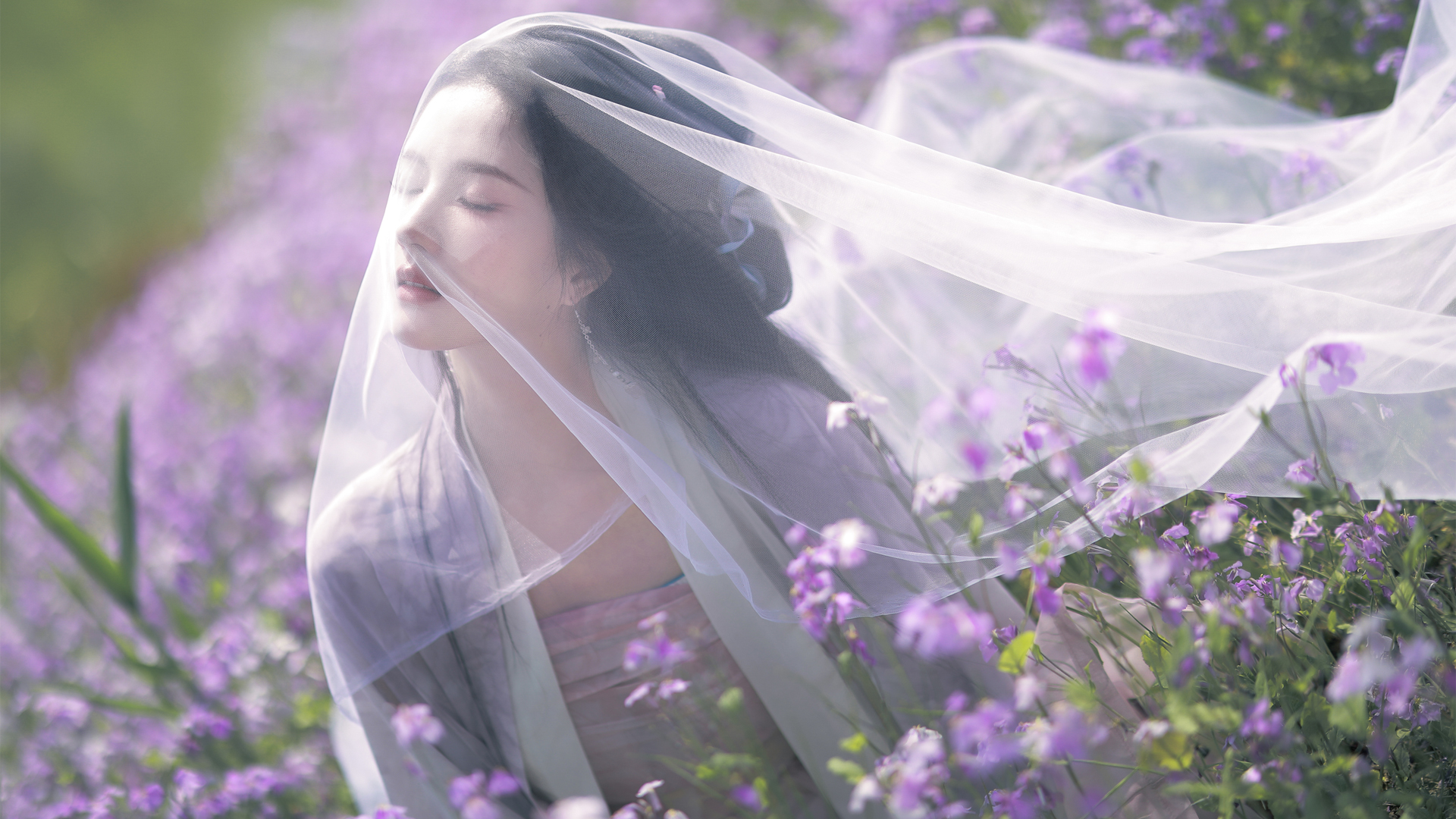 ['唯美 美女 头纱 紫色鲜花 刘些宁桌面壁纸']