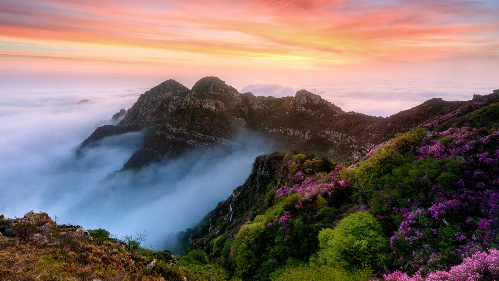 ['高清山树鲜花云雾风景意境壁纸-唯美自然山水桌面背景']