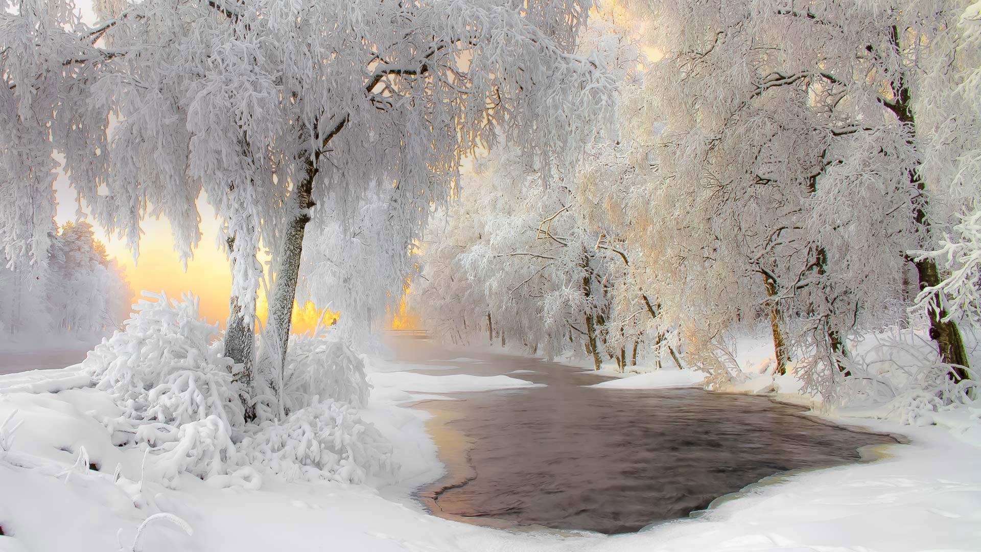['冬季雪景 河流 树木 自然风光 壁纸']