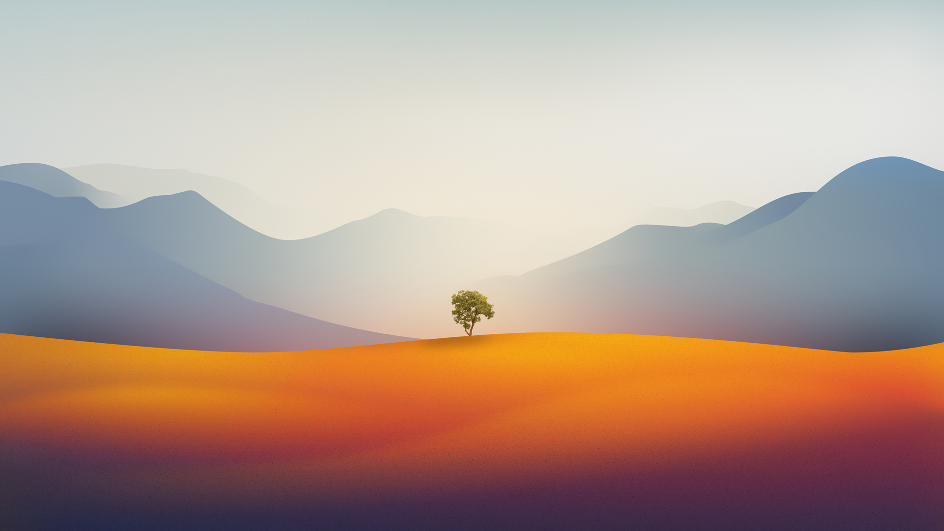 ['苹果树 简约 风景 高清电脑壁纸']