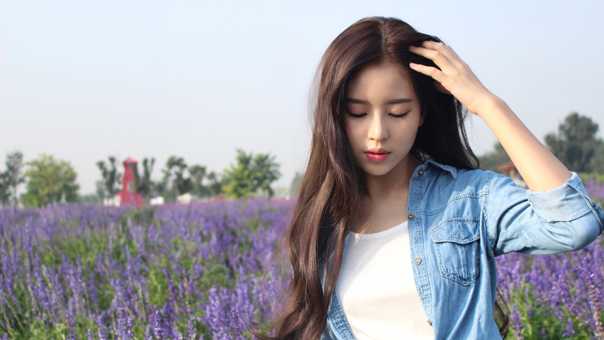 ['紫色薰衣草花海 长发清纯美女 高清壁纸']
