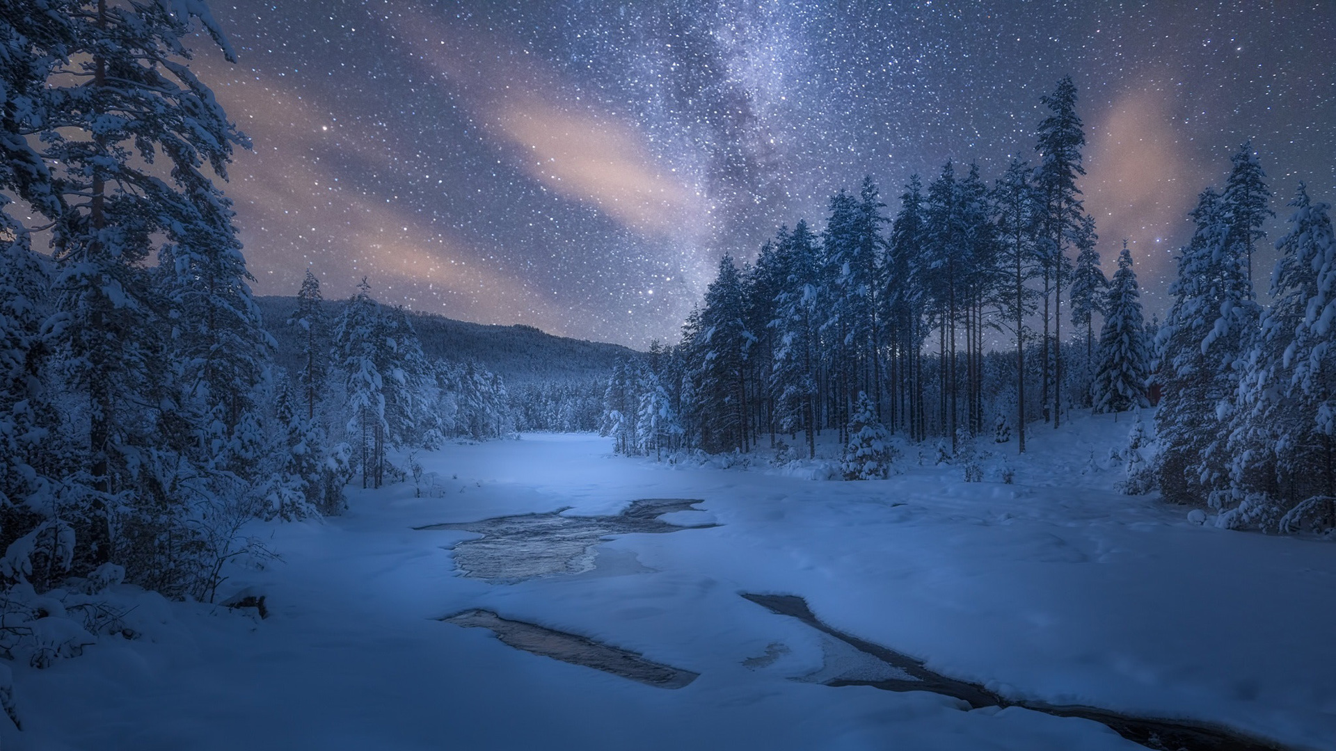 ['冬季雪景夜景树木自然风景桌面壁纸高清下载']