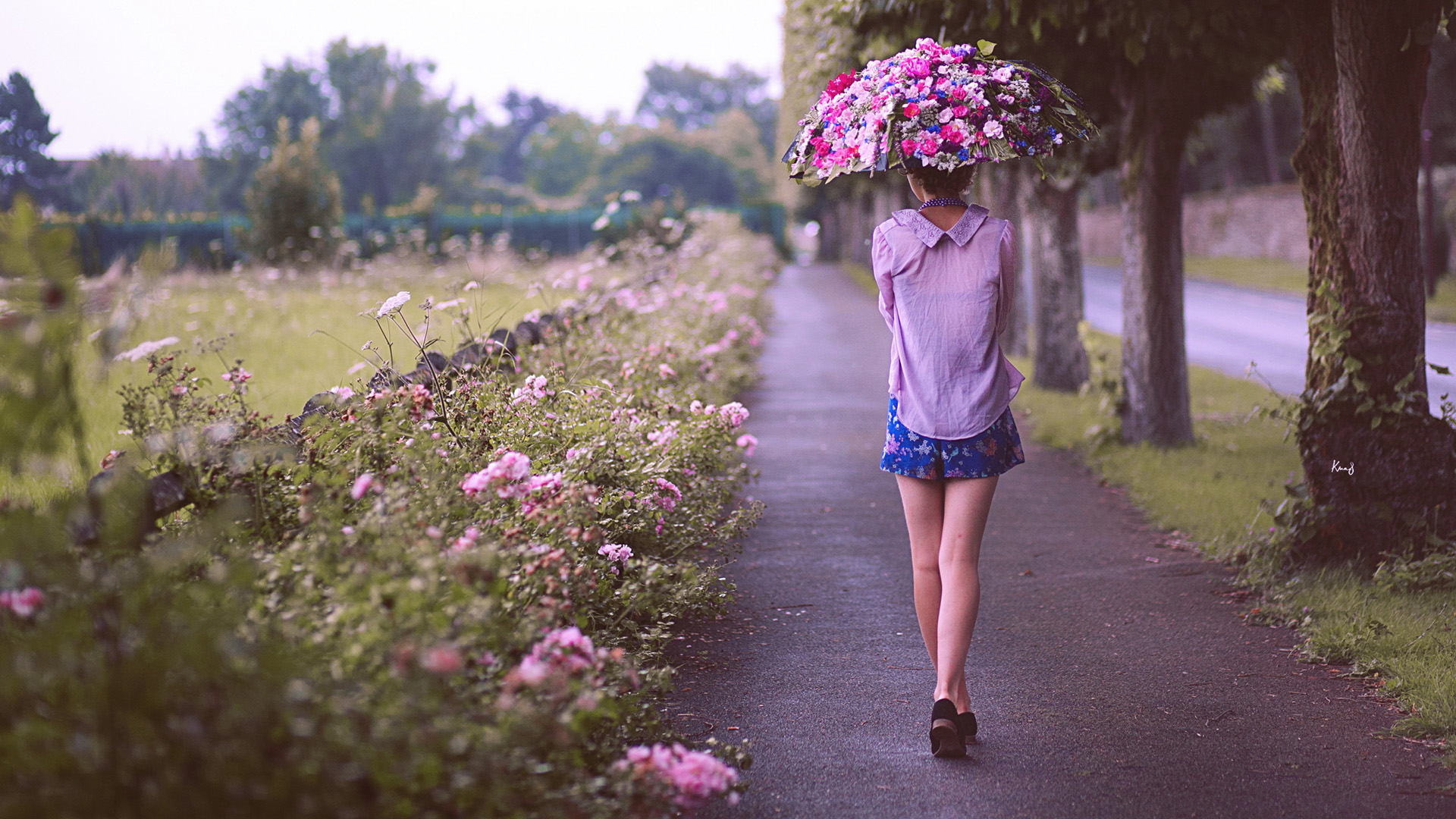 ['女孩背影 唯美桌面壁纸 街道 树木 伞 鲜花']