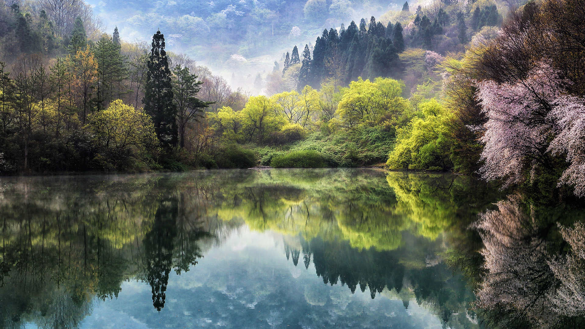 ['自然风景壁纸 樱花树林 湖水泉高清桌面']