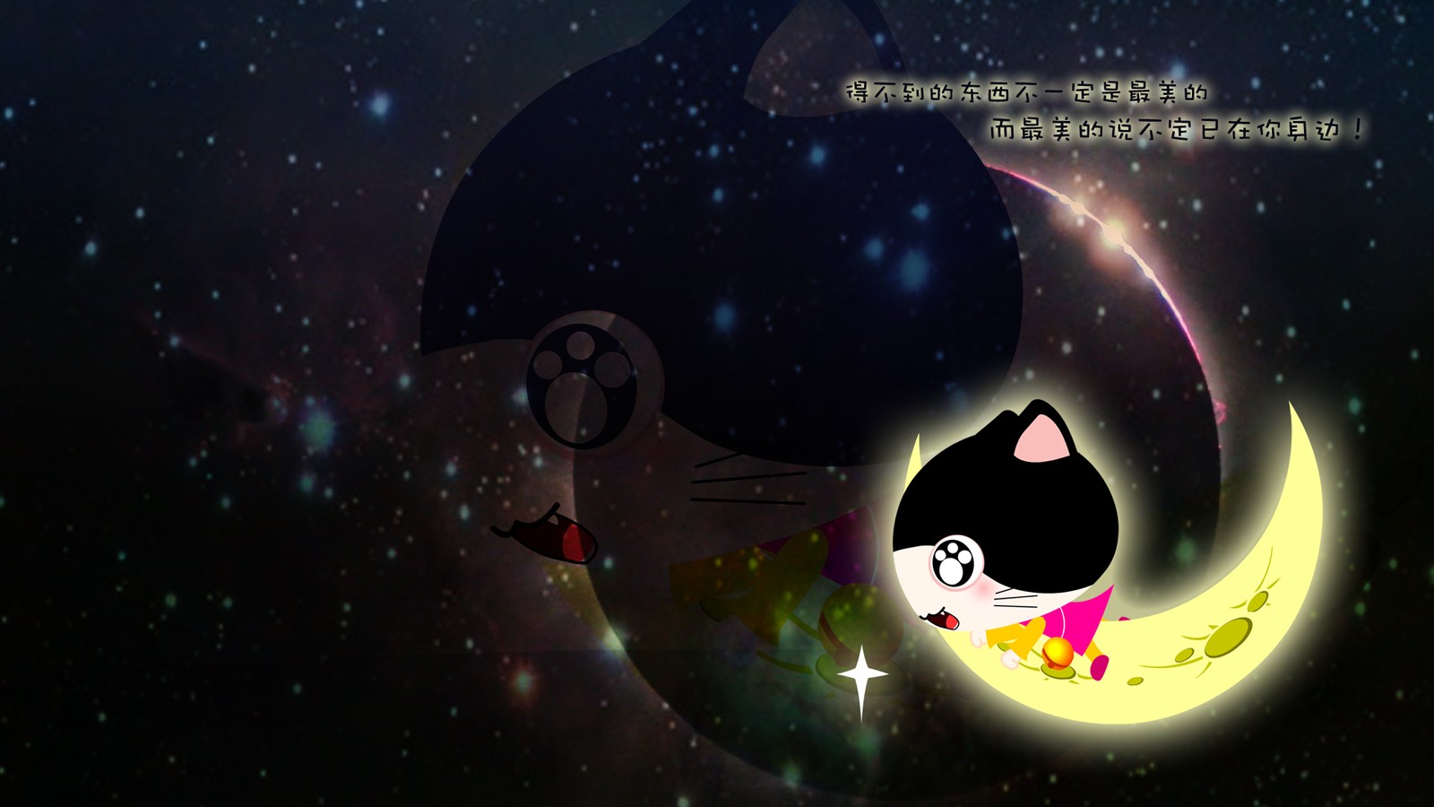 ['高清猫咪壁纸 精选陪伴款 猫咪日常美图下载']