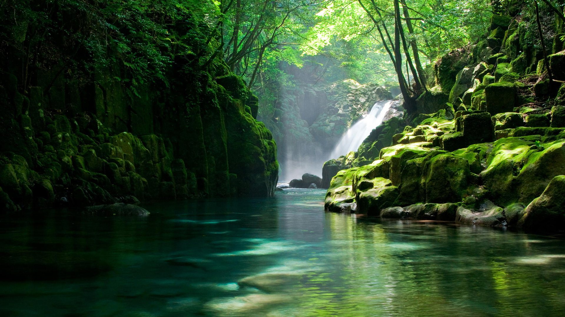 ['绿水 山涧密林 溪流树木 绿色护眼 清新自然 高清风景壁纸']