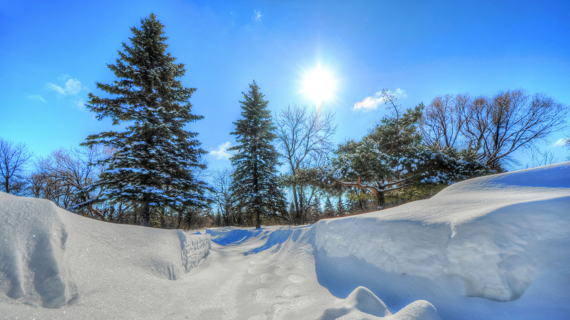 ['冬季雪景 风景桌面壁纸 树木 天空']