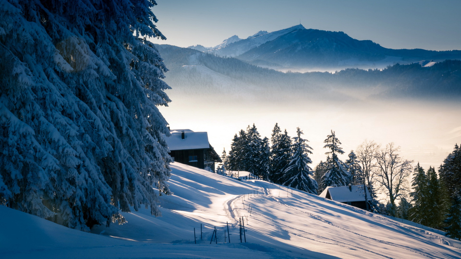['冬天 山 树 雪景 路 房子 风景桌面壁纸']