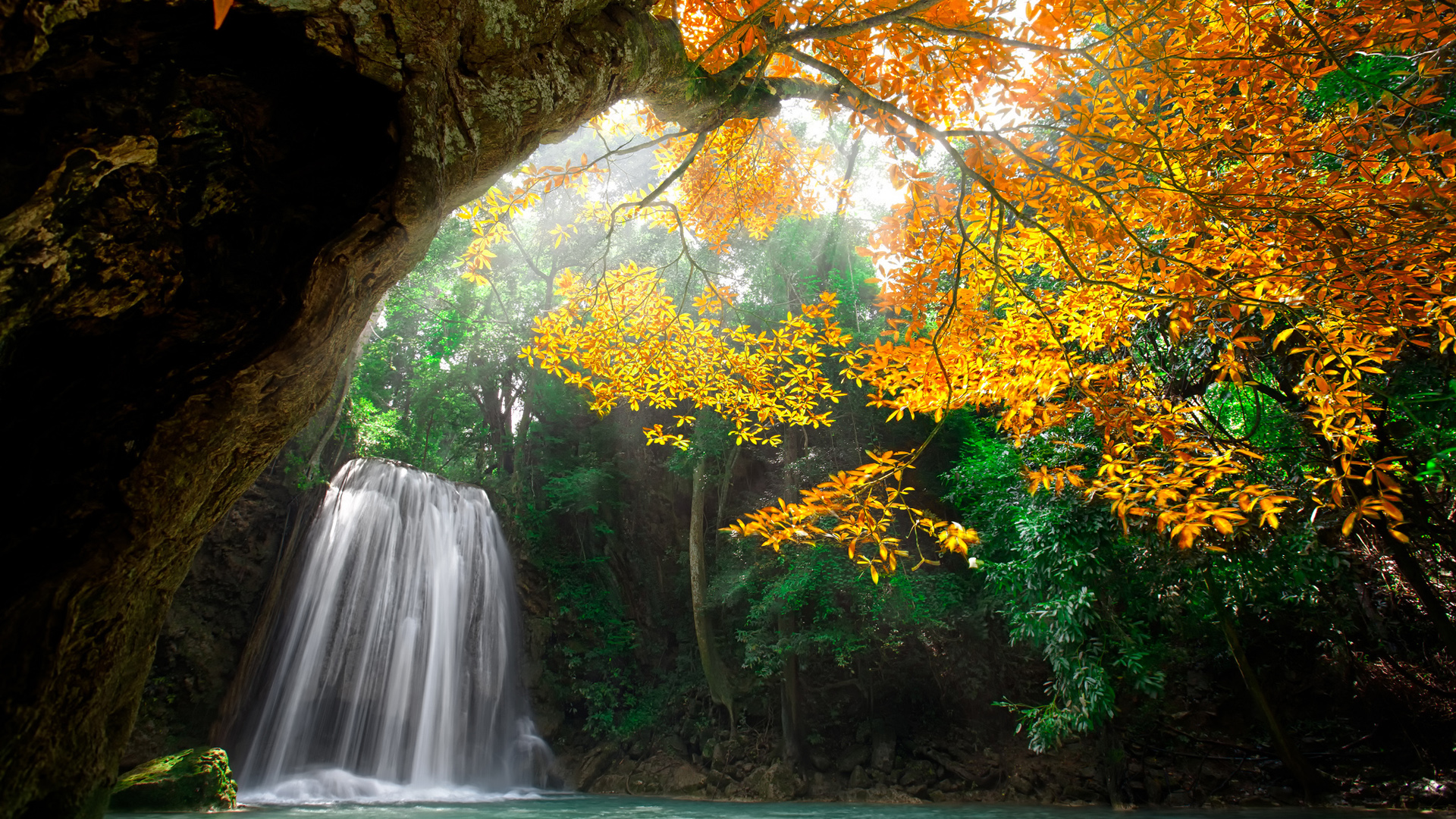 ['秋天 森林 瀑布 高清壁纸 自然风景 老树 治愈系']