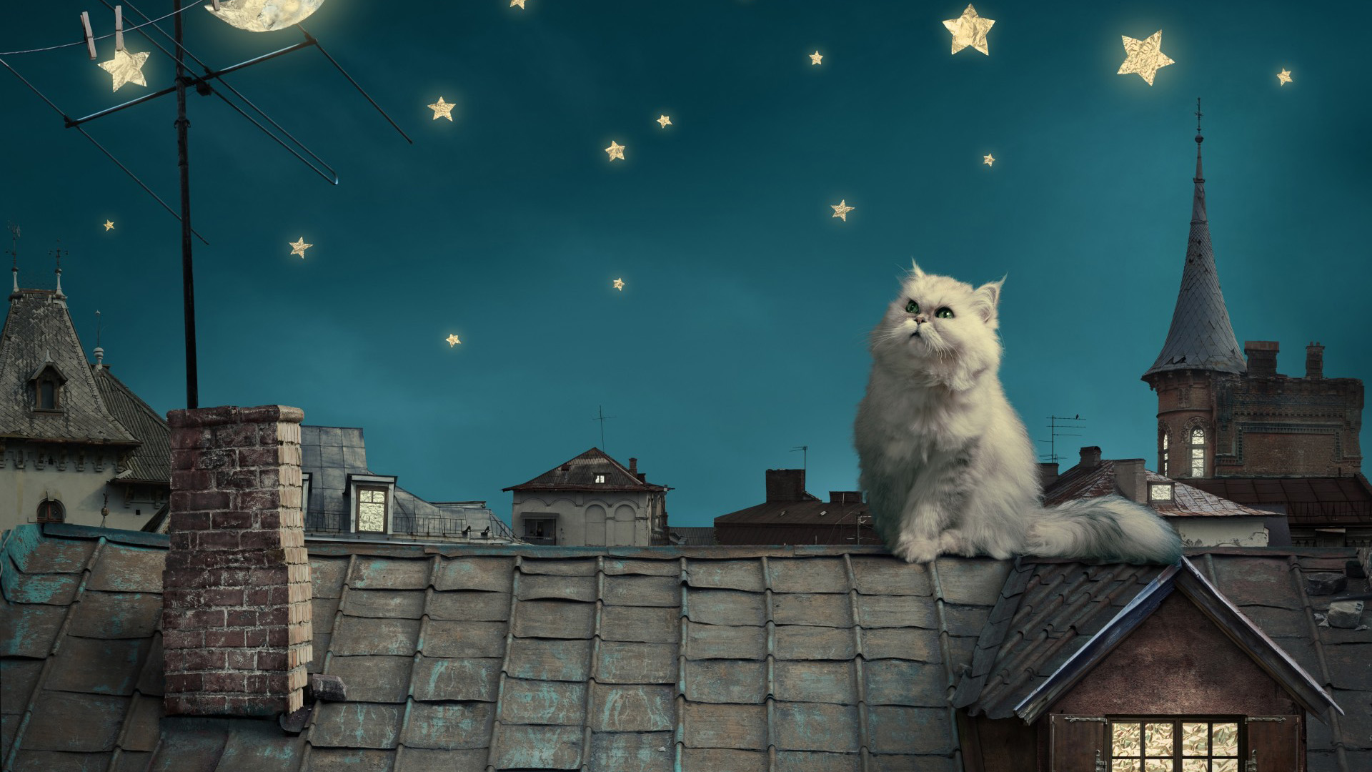 ['波斯白色小猫 童话幻想 屋顶房屋天空 桌面壁纸']