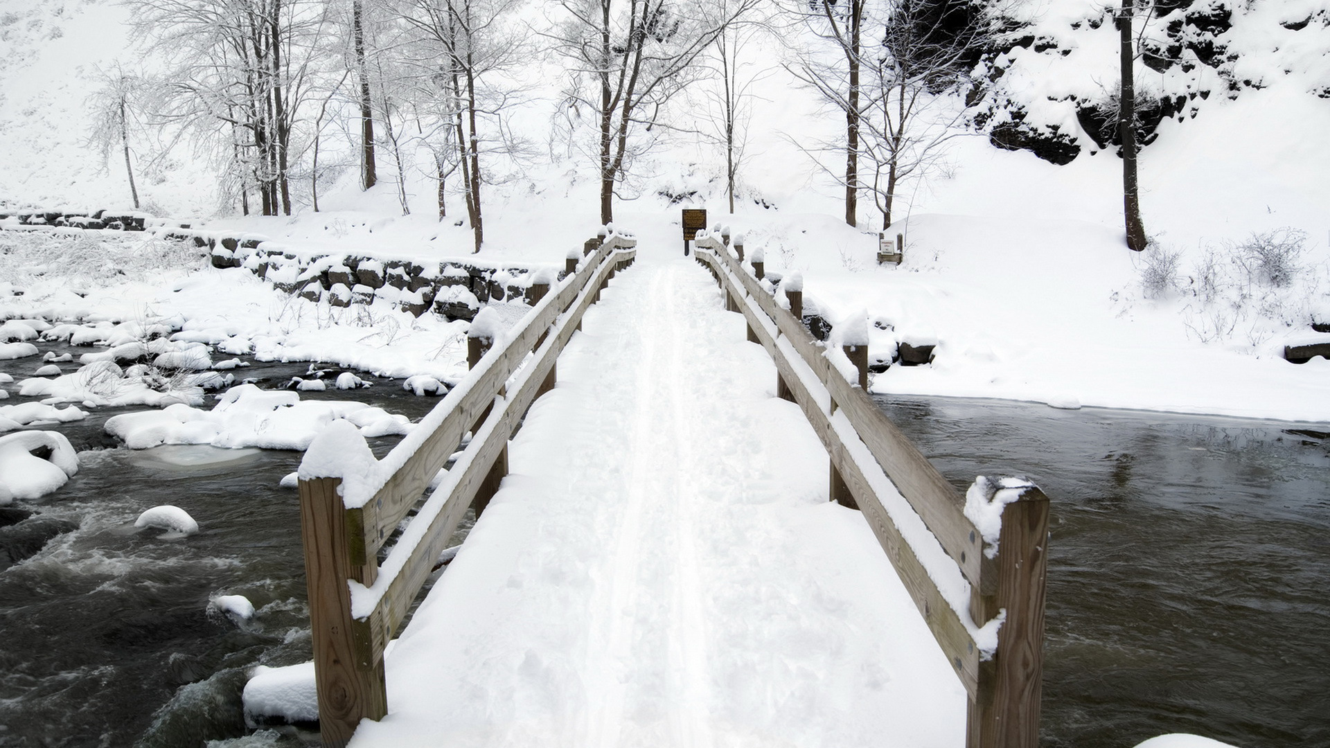 ['冬天雪景 雪地树木 河畔雪景 雪桥风景 自然风光壁纸']