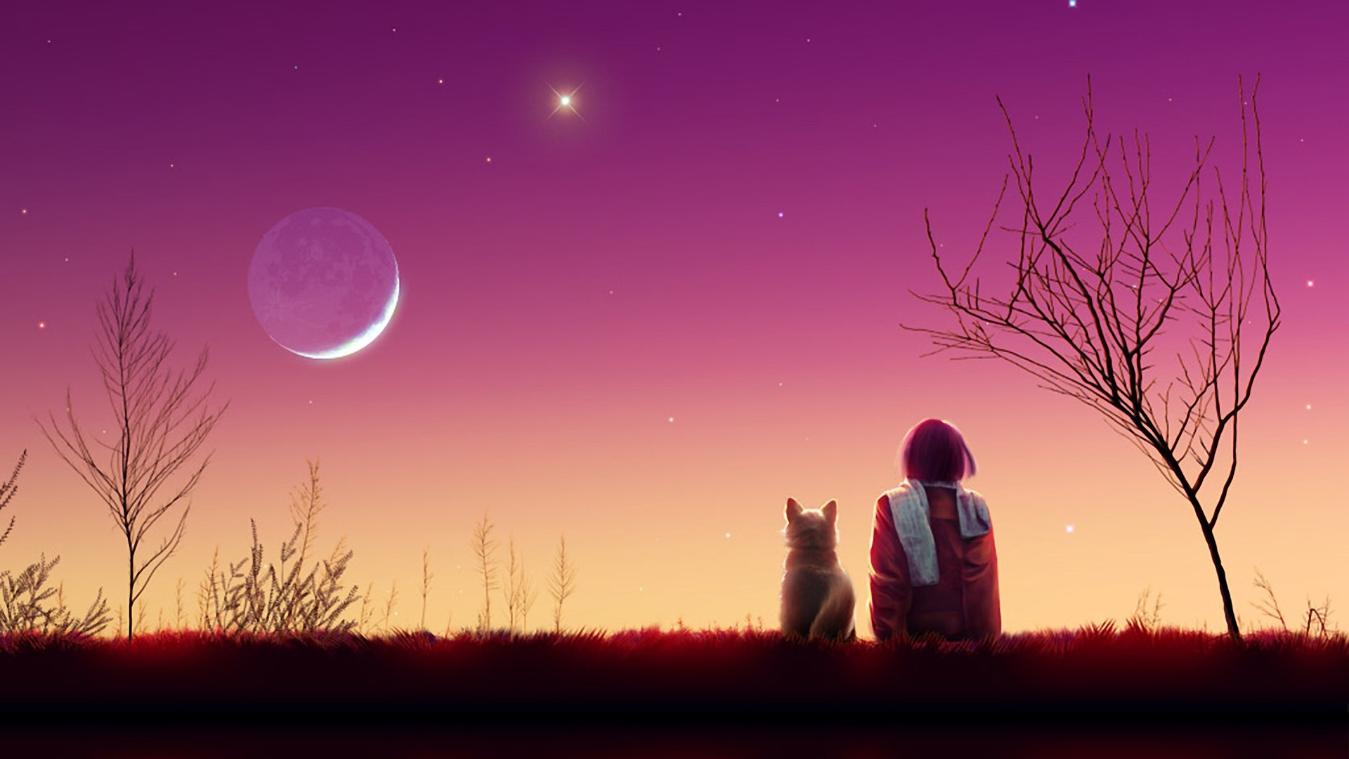 ['夜间 女孩 小狗 风景 月亮 星星 唯美壁纸']