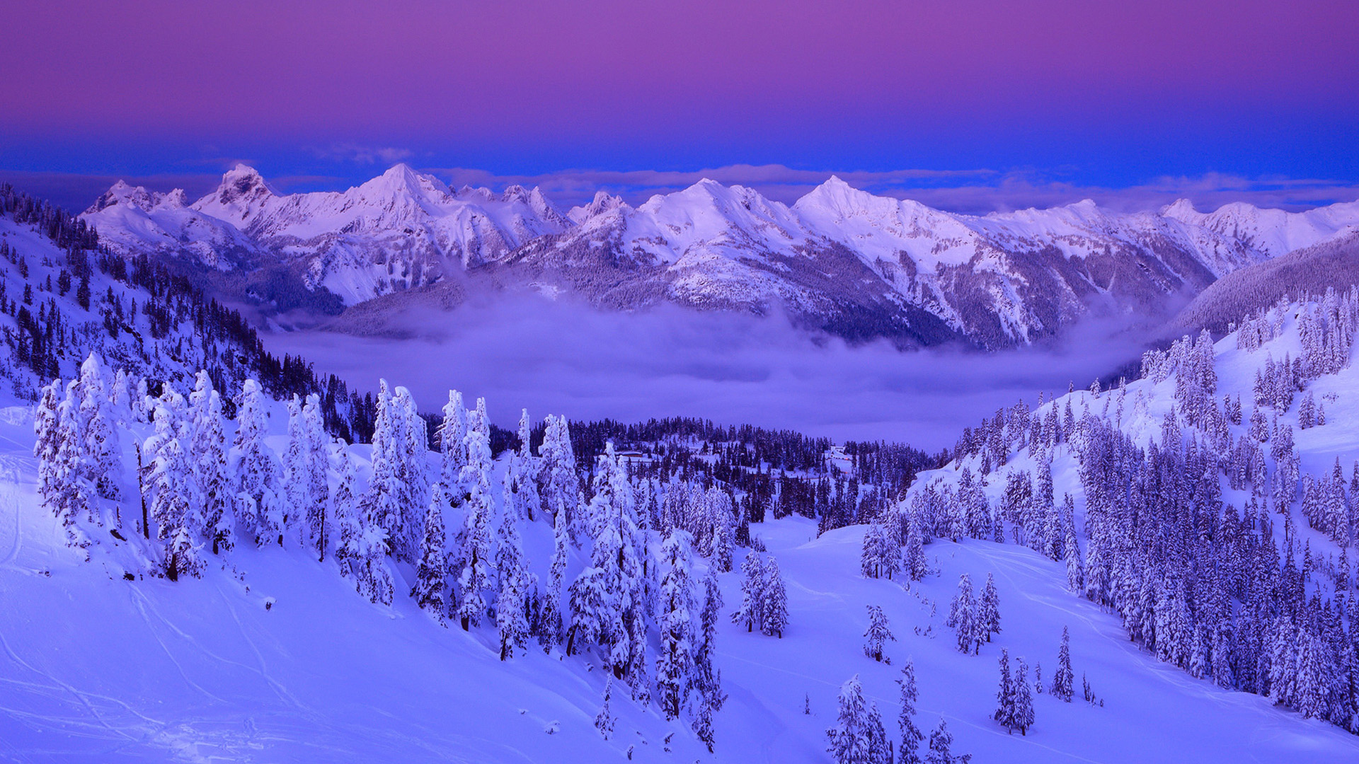 ['紫色云霞 雪山 冬季雪景 森林 天然风景 4K桌面壁纸']