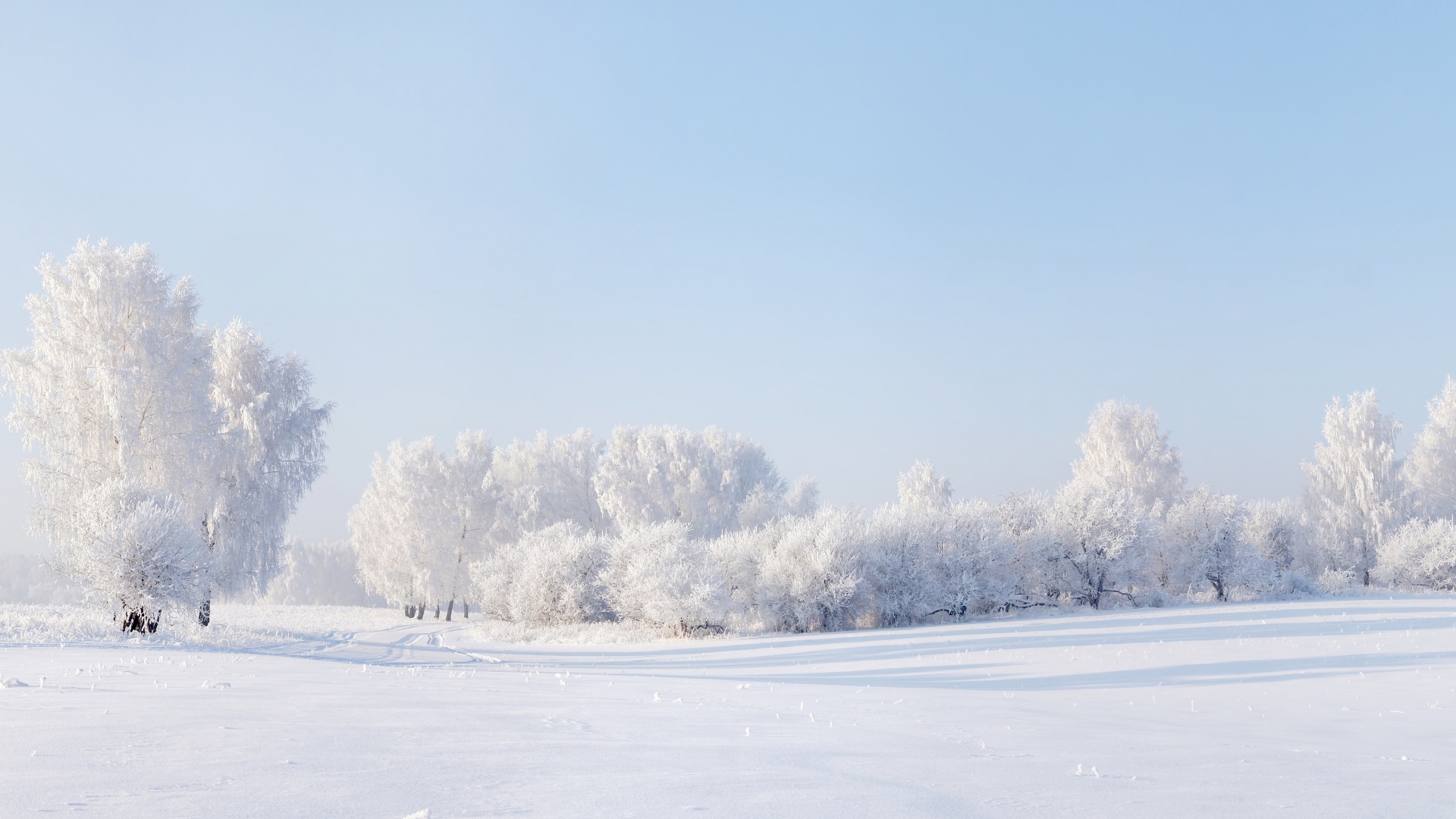 ['冬天 雪景 天空 树木 全景壁纸 高清 冬季自然风光电脑桌面背景图']