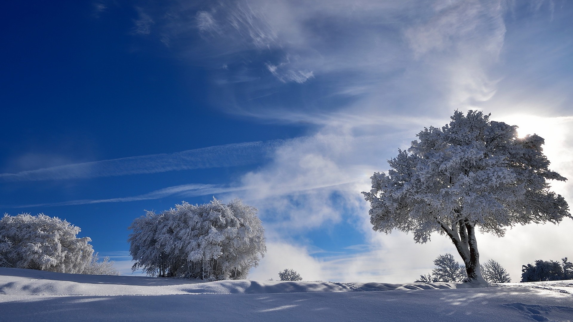 ['冬季雪景高清壁纸 树木银装素裹自然风景桌面壁纸下载']
