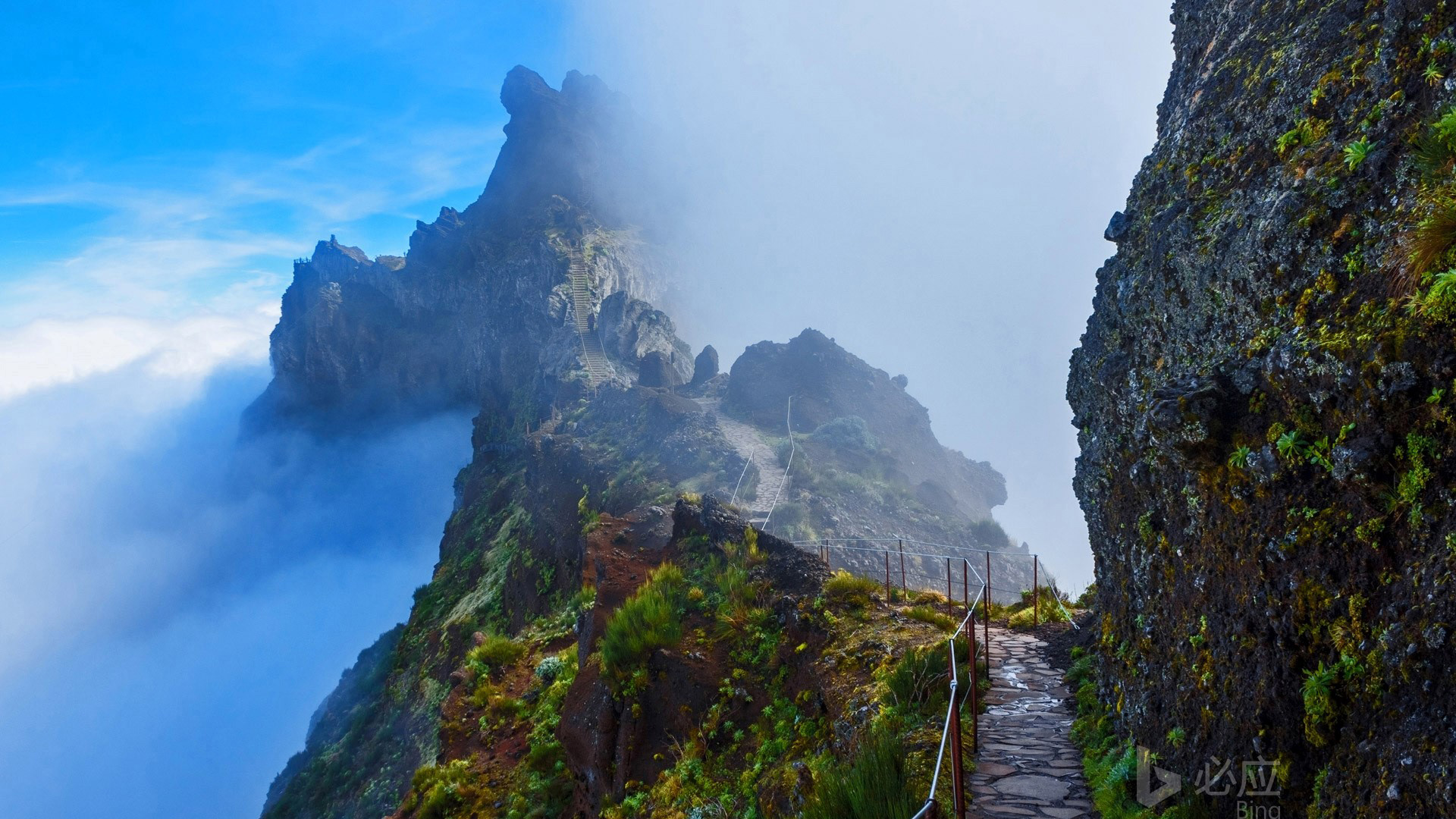 ['马德拉岛风景 山间小径 葡萄牙旅游 4K桌面壁纸']