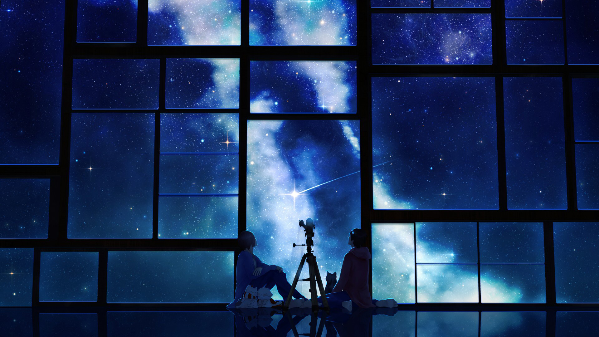 ['女孩 男孩 小猫 天空 星星 美好的 动漫壁纸']