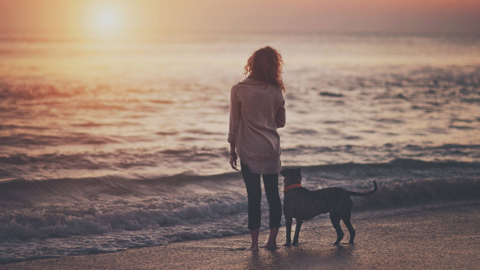 ['唯美夕阳海边女孩与狗海浪风景高清壁纸图片']