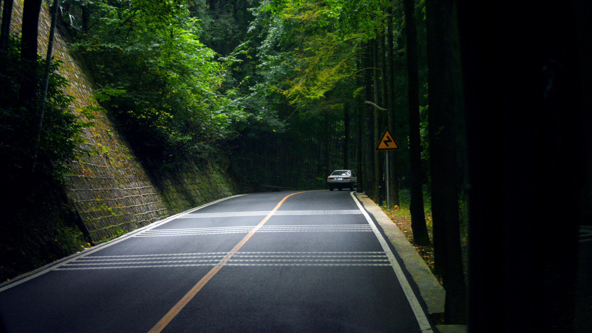 ['森林 公路 风景 桌面壁纸 自然 高清']