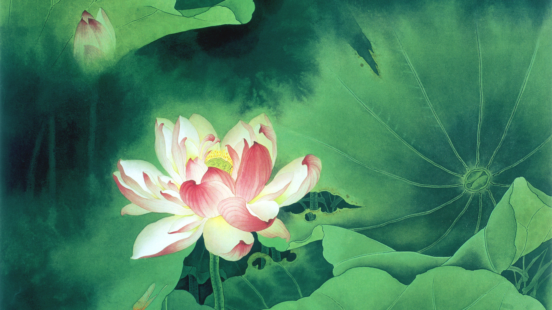 ['工笔荷花图 高清 中国风 名家 工笔画荷花壁纸']