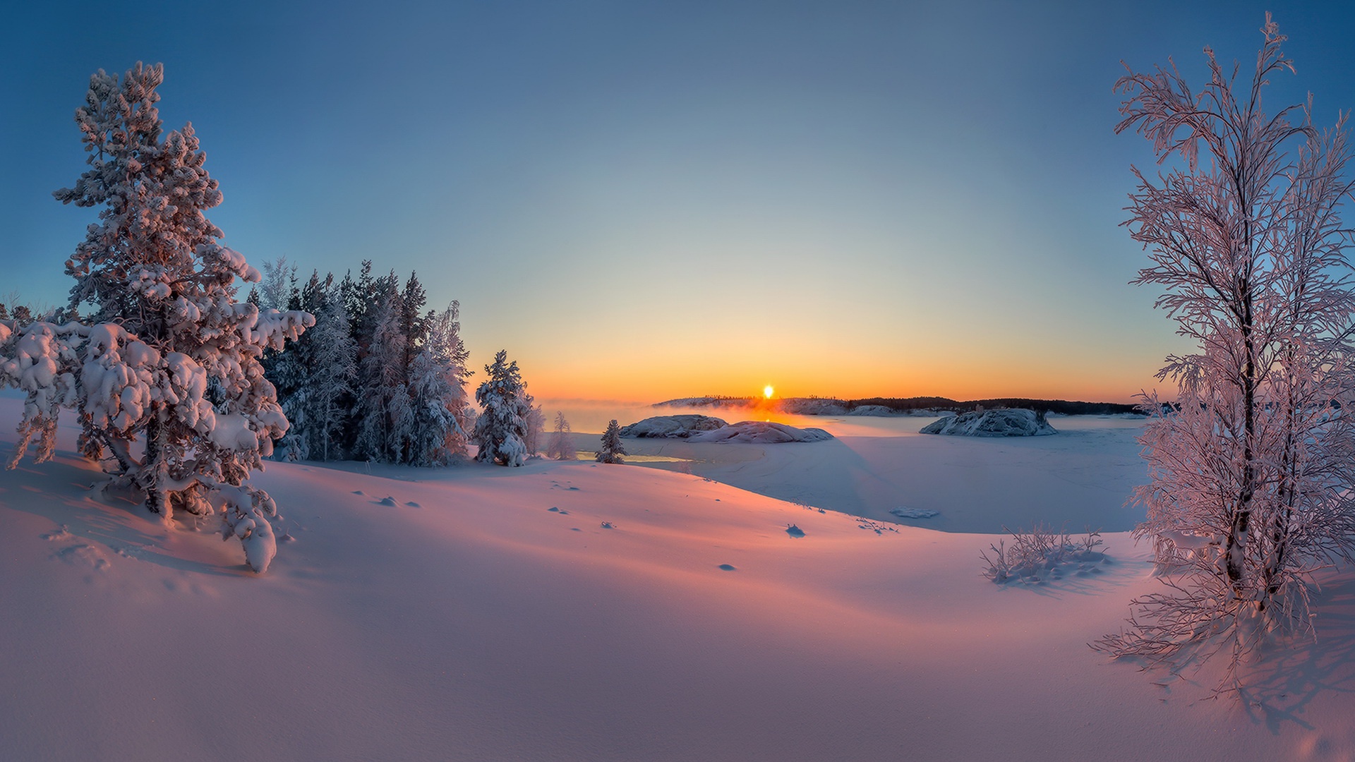 ['高清冬季自然风景雪景树木清晨桌面壁纸']