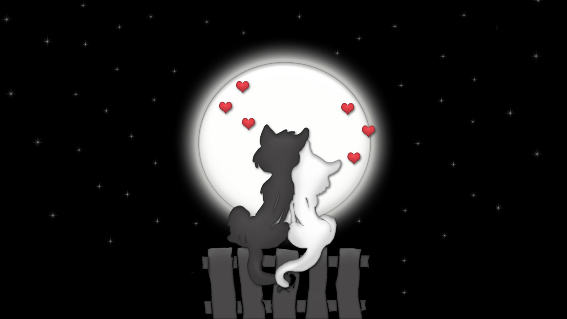 ['猫咪 恋爱 月亮 夜晚 星星 桌面壁纸']