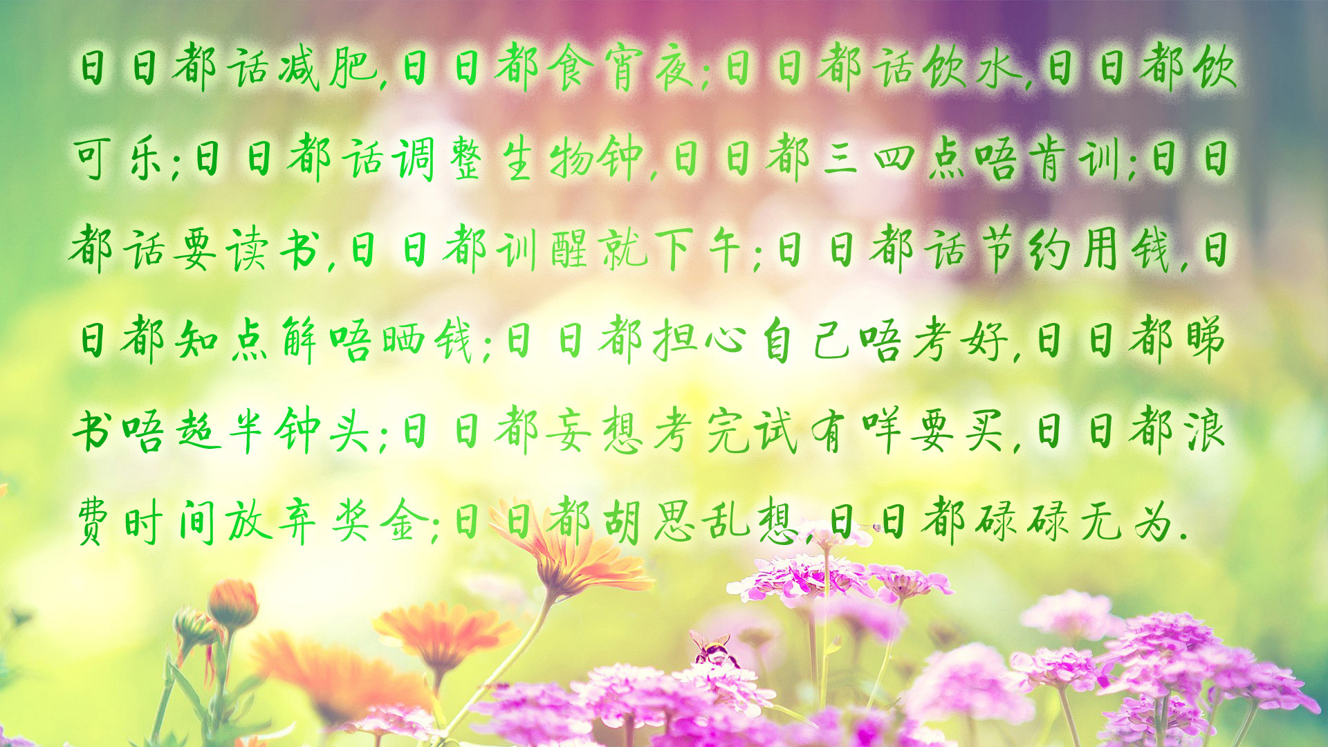 ['绿色系励志壁纸 减肥动力 学习激励 文字简约 护眼设计']