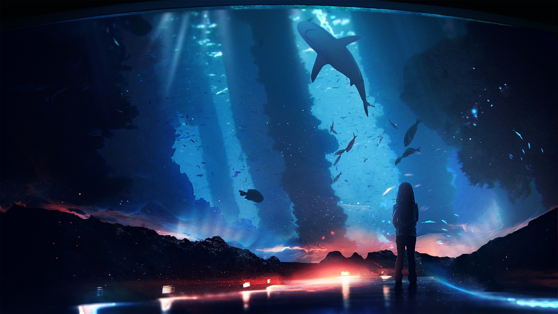 ['鲨鱼女孩 水族馆 电脑壁纸']