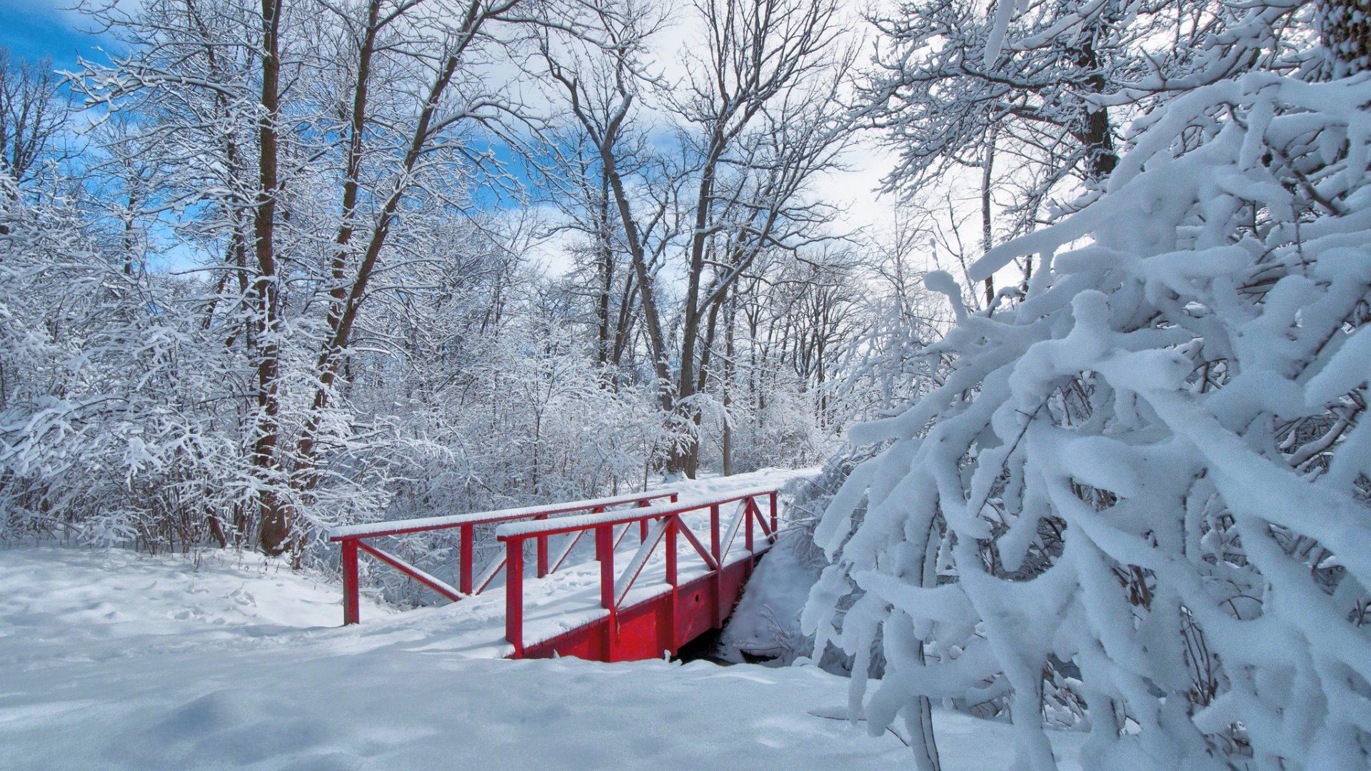 ['冬季雪景 公园 树木 桥梁 高清壁纸']