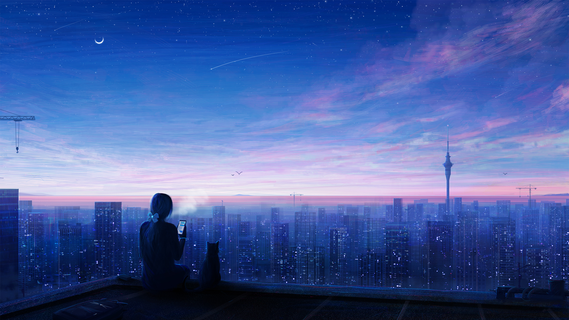 ['唯美动漫壁纸 城市夜晚星空 女孩与猫2K高清壁纸']