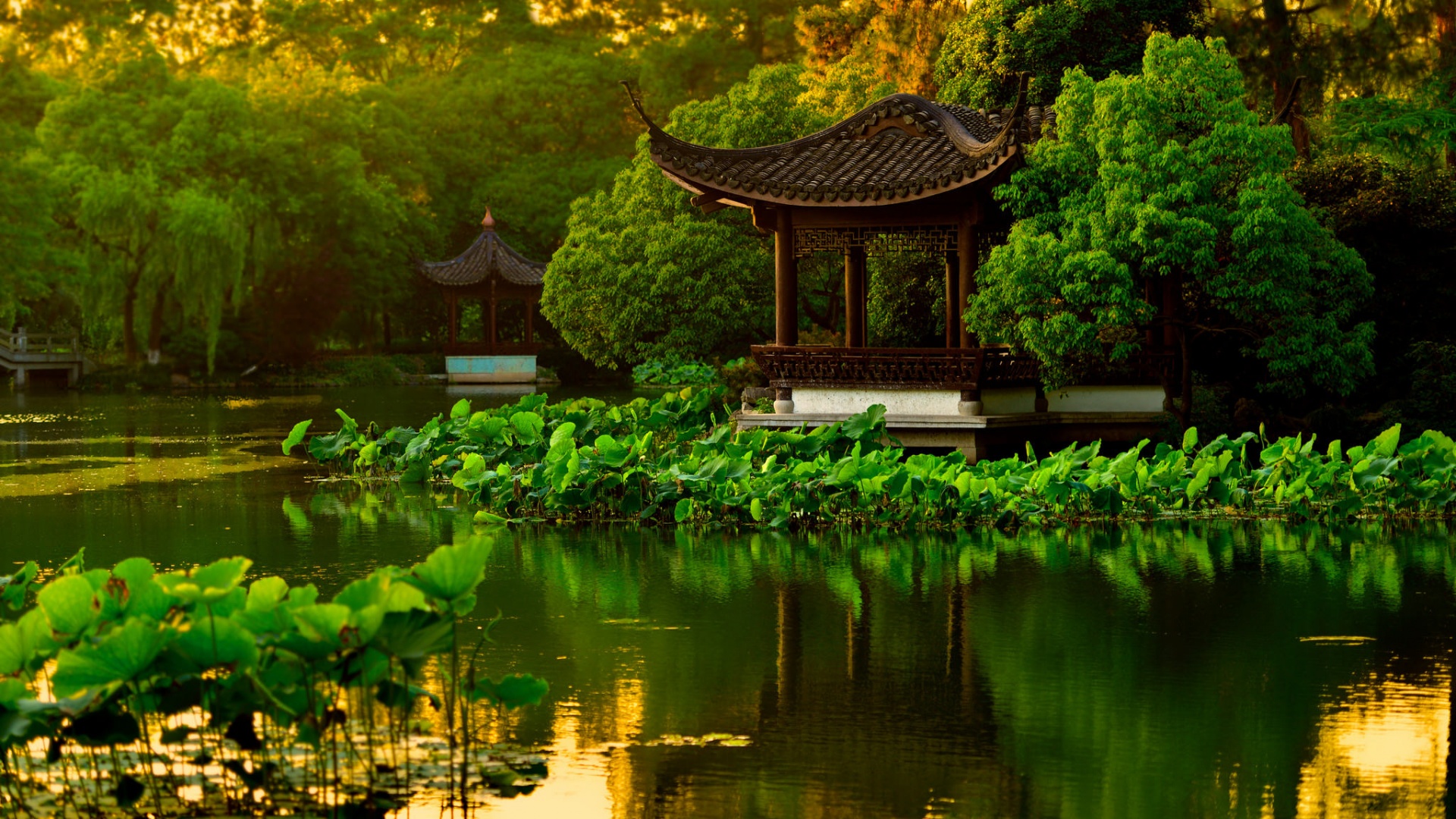 ['杭州西湖荷花凉亭池塘风景壁纸']