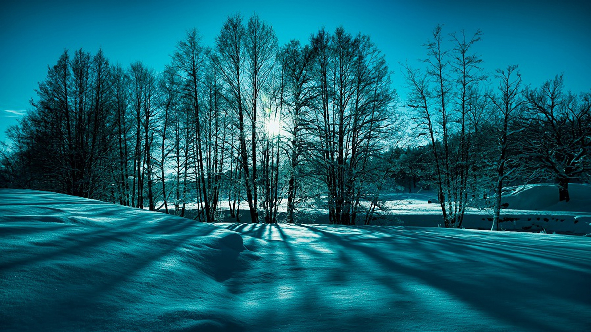 ['雪景 蓝天 阳光 冬季 风景壁纸']