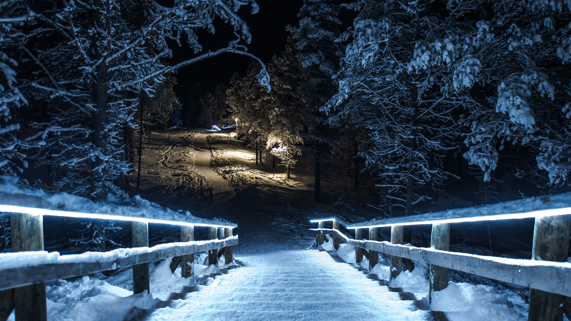 ['冬季森林雪景夜晚公园小路栅栏风景壁纸']