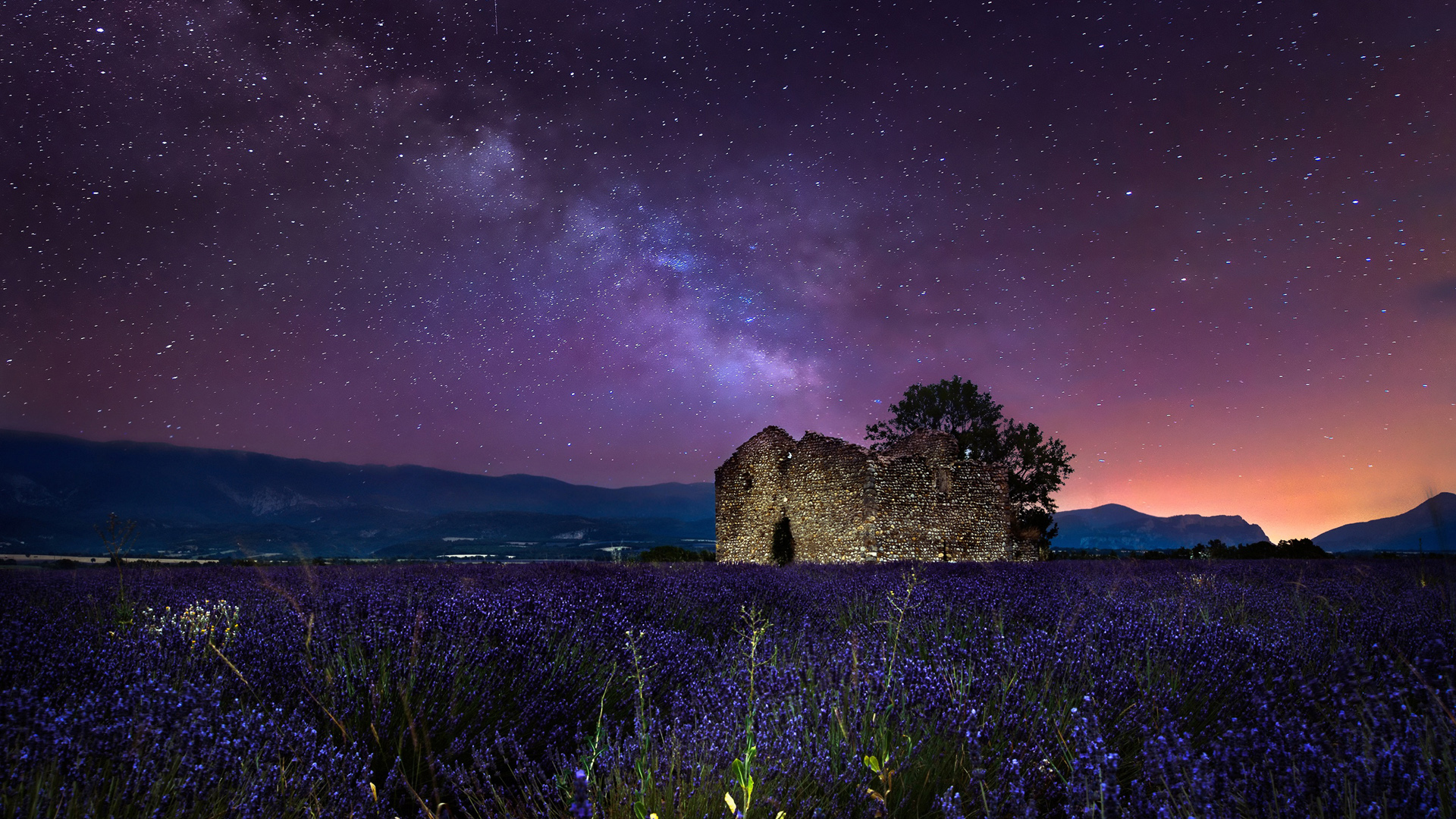 ['薰衣草 银河 星空 夜景 风景壁纸']