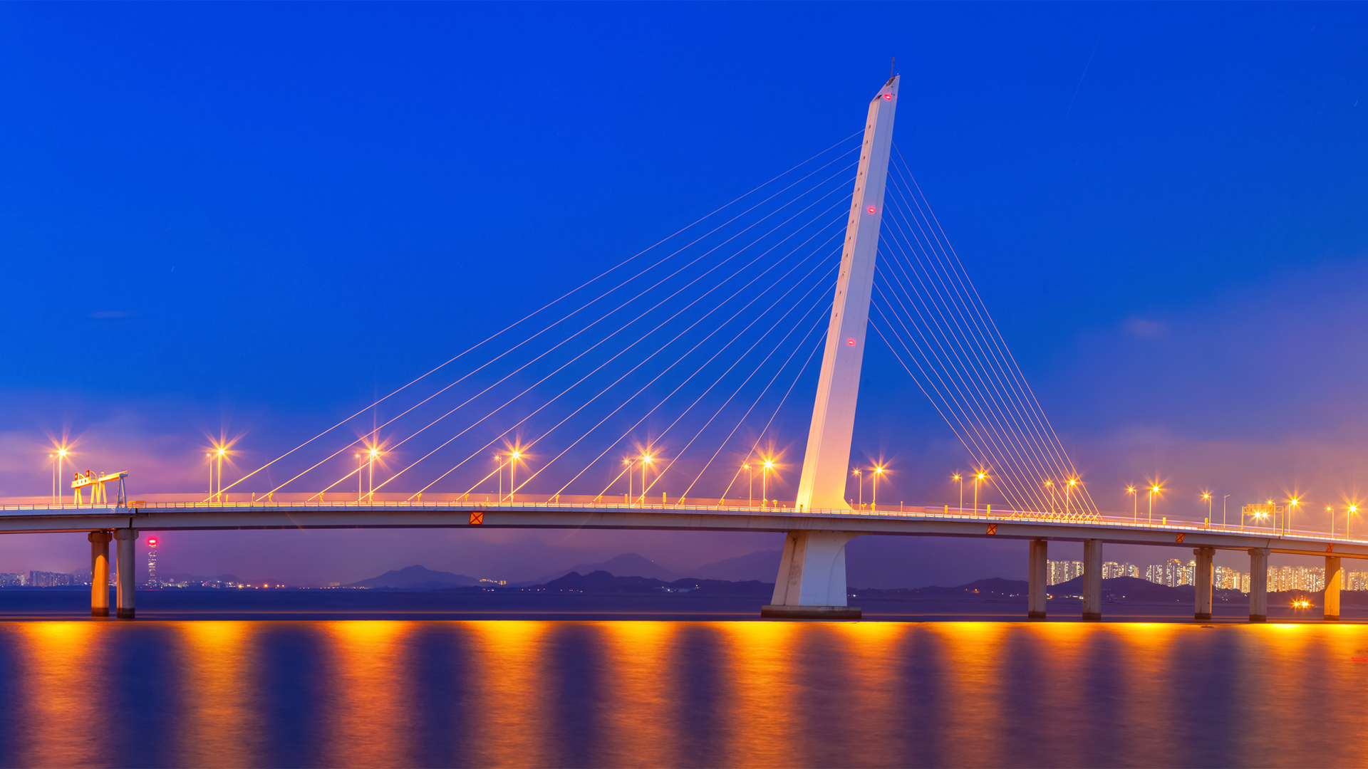 ['深圳湾跨海大桥高清风景壁纸 4K夜景大桥风光']