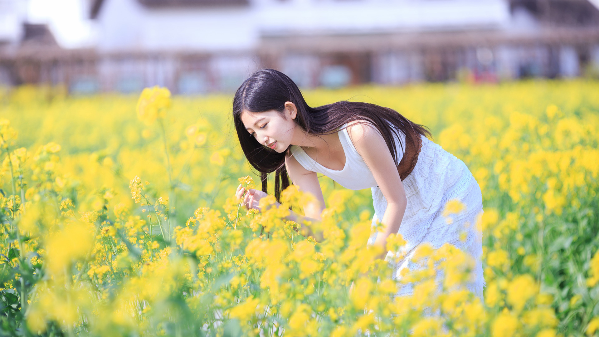 ['花海 清新女孩 清纯甜美笑容 美女壁纸']