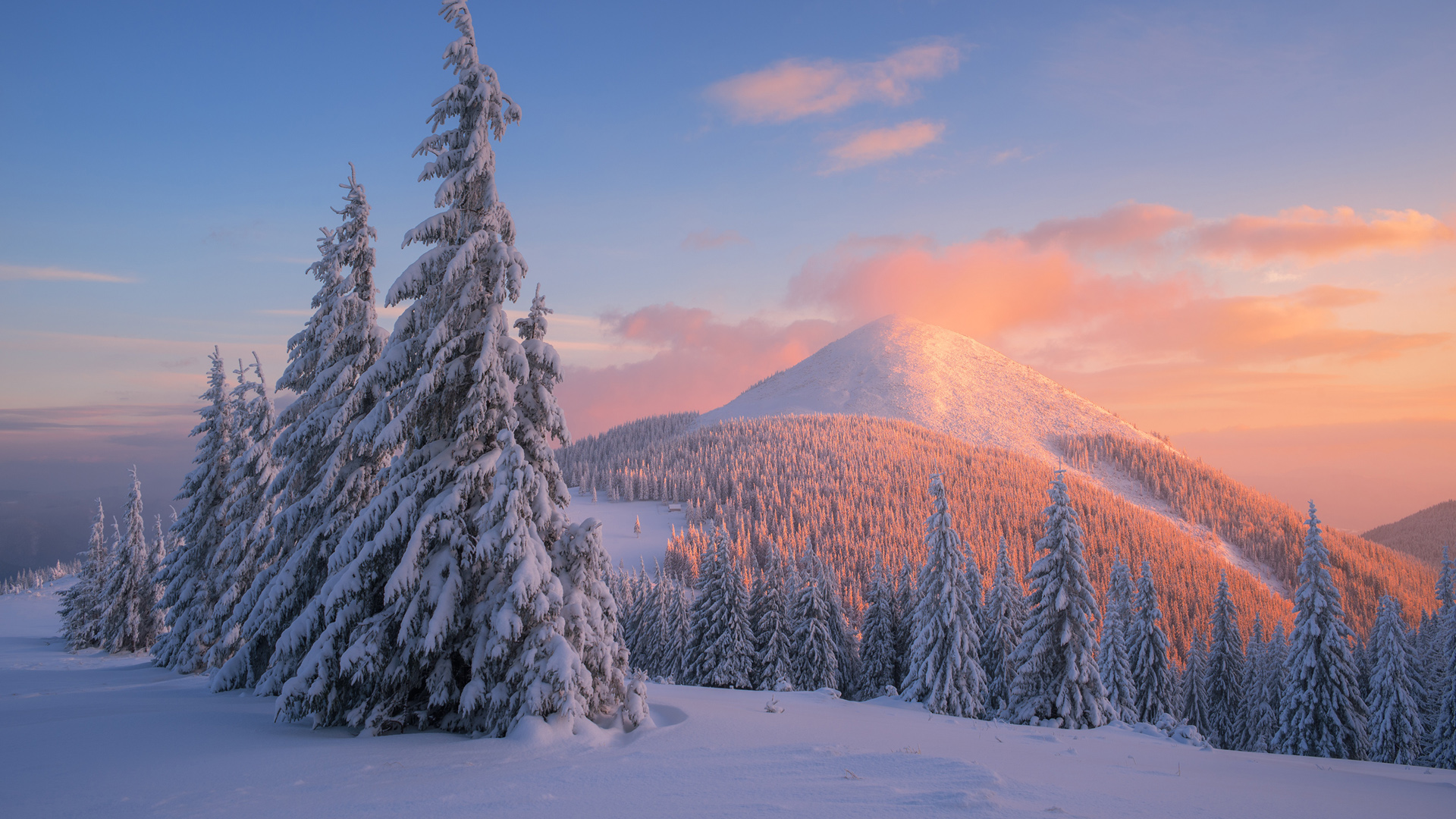 ['冬季雪景 自然风光 高清壁纸']